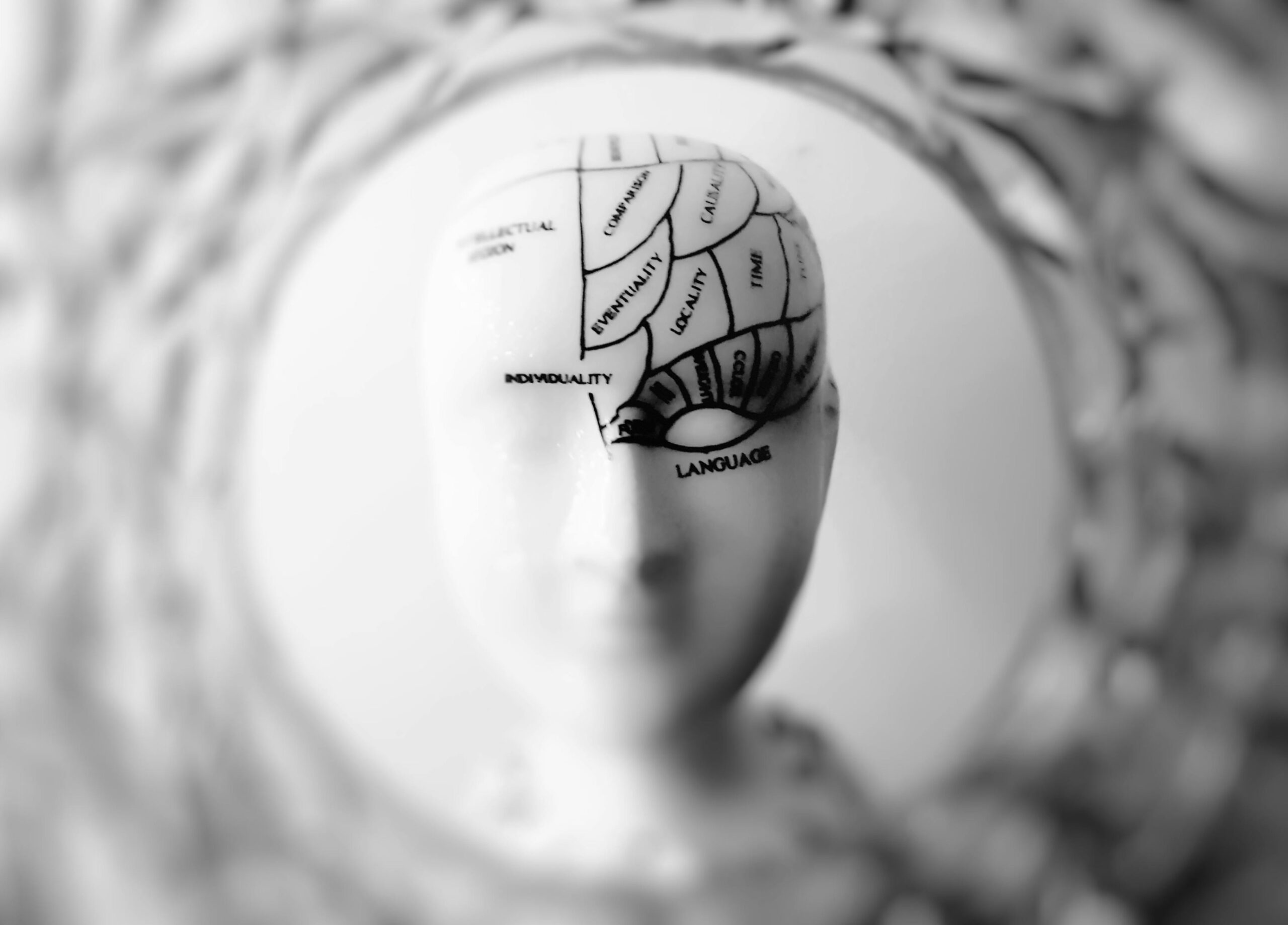 Neurociencia de la Lectura Inteligente